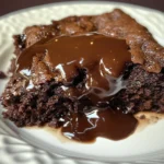 Hot Fudge Chocolate Pudding Cake